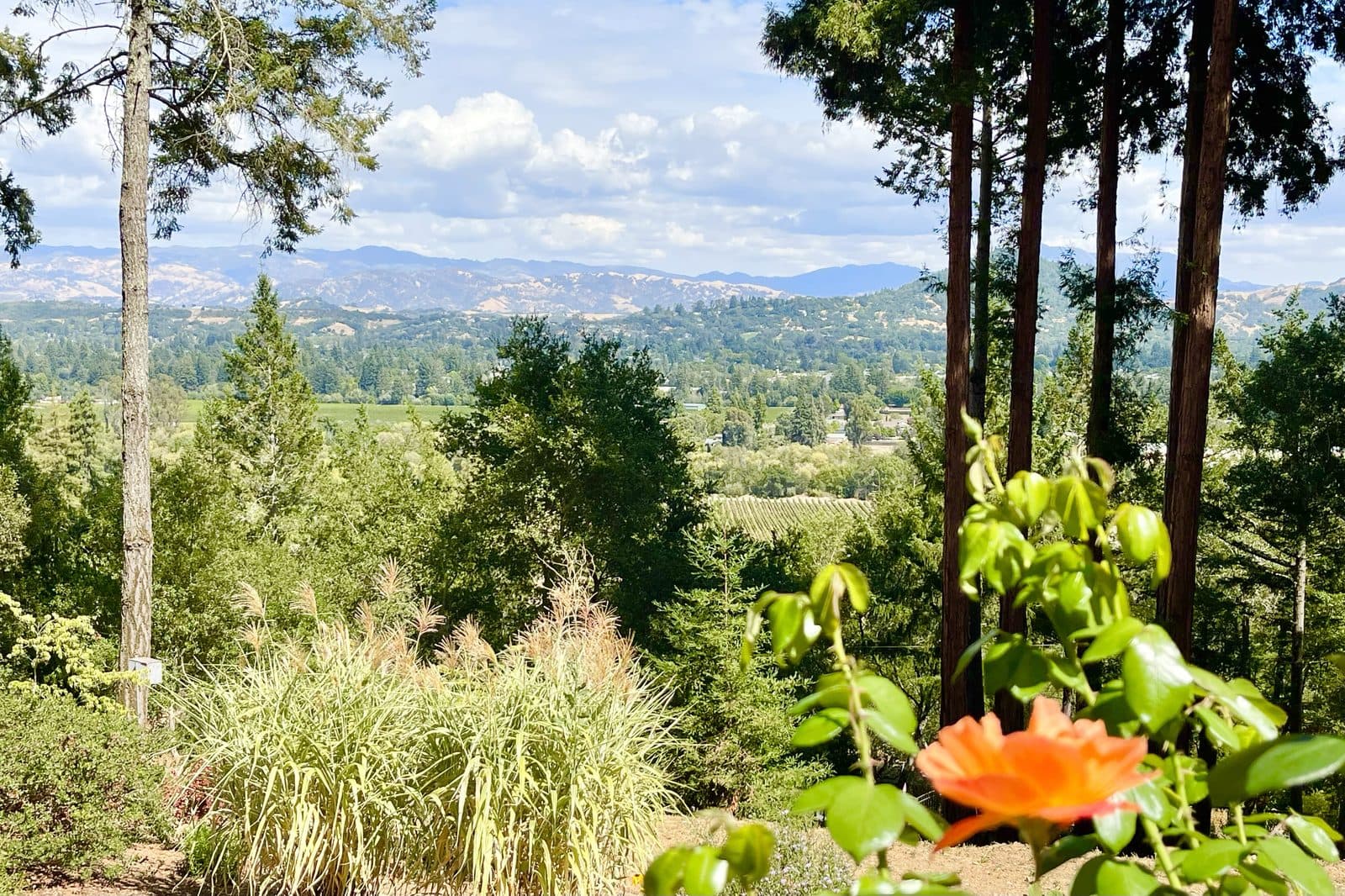 Sonoma County valley panorama — vineyards and mountains from wine country property